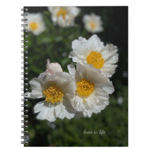 Caderno Espiral Adoráveis Brancos