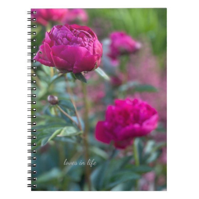 Caderno Espiral Adoráveis Peônias de Jardim Rosa Profundo (Frente)