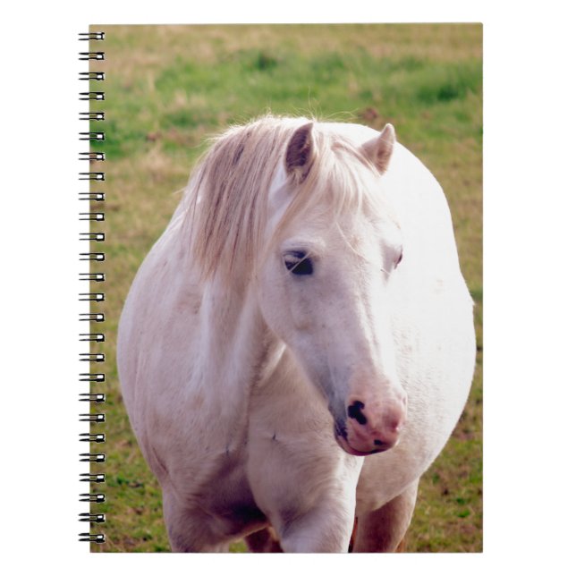 Caderno Espiral Adorável Cinza Pony (Frente)