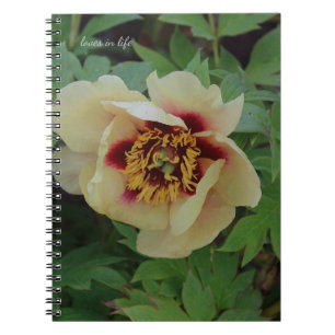 Caderno Espiral Adorável Cream Yellow Peony