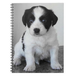 Caderno Espiral Adorável Puppy Preto e Branco