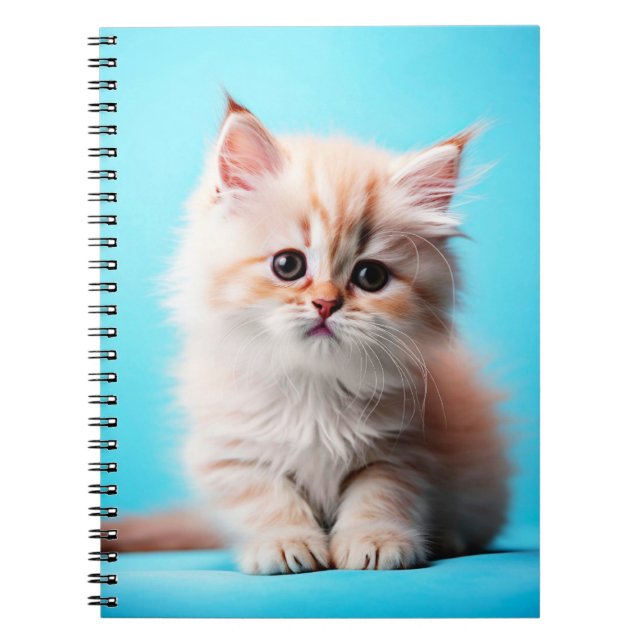 Caderno Espiral Adorável White Kitten Potrait- 54971 (Frente)