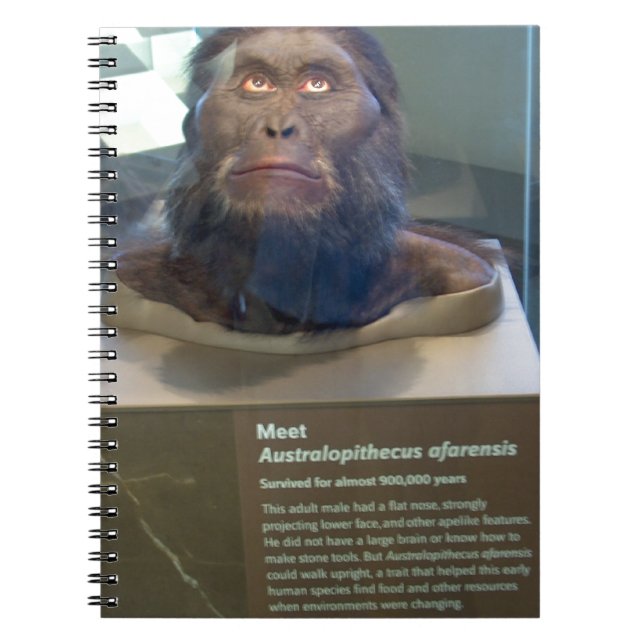 Caderno Espiral Afarensis do Australopithecus; exibição do museu (Frente)