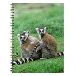 Caderno Espiral África, Madagascar, Antananarivo, Tsimbazaza