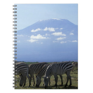 Caderno Espiral África, Quênia, Parque Nacional de Amboseli, Manad