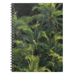 Caderno Espiral África, Zâmbia, Parque Nacional Mosi-Oa-Tunya,
