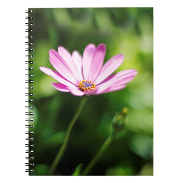 Caderno Espiral African daisy (Frente)