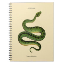 African Green Snake