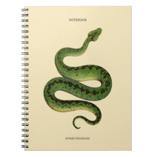 Caderno Espiral African Green Snake 