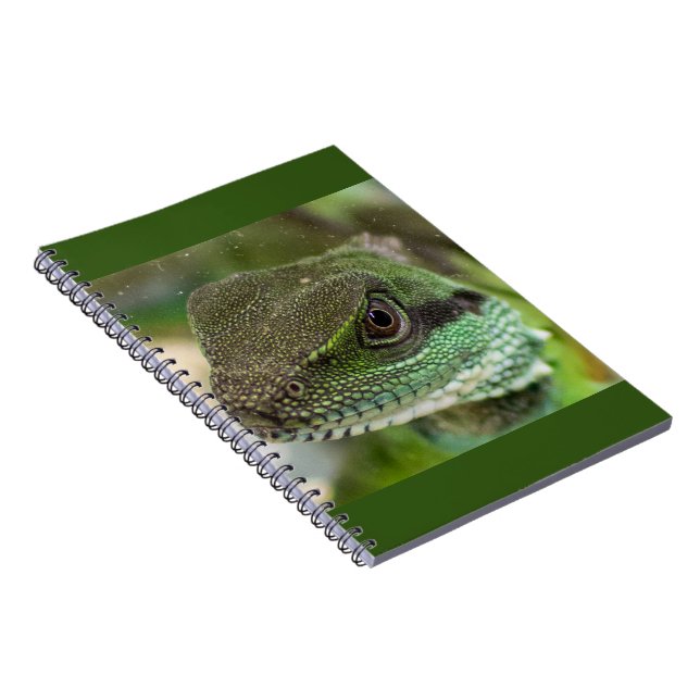Caderno Espiral Agama, lagarto (Lado Direito)