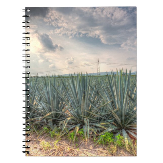 Caderno Espiral Agave azul (Frente)