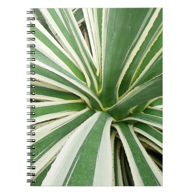 Caderno Espiral Agave Plant Green e White Strike (Frente)