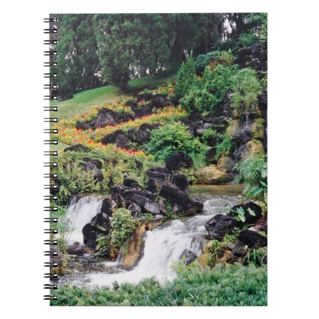 Caderno Espiral Água de cicatrização (Frente)