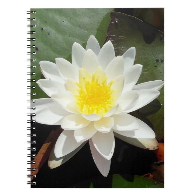 Caderno Espiral Água Lily (Frente)