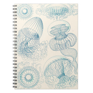 Caderno Espiral Água-viva de Ernst Haeckel Arte Científico Antigo
