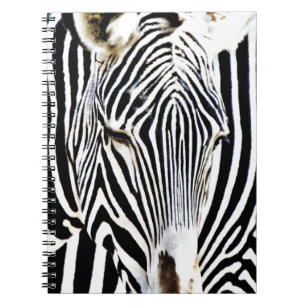 Caderno Espiral Aguardando_