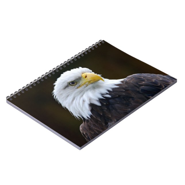 Caderno Espiral Águia Bald Americano (Left Side)
