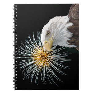 Caderno Espiral Águia Balda e fogos de artifício