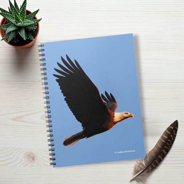 Caderno Espiral Águia Balda e Respiratória em Voo de inverno Sunse (Breathtaking Bald Eagle in Winter Sunset Flight Journal Cover Photo)