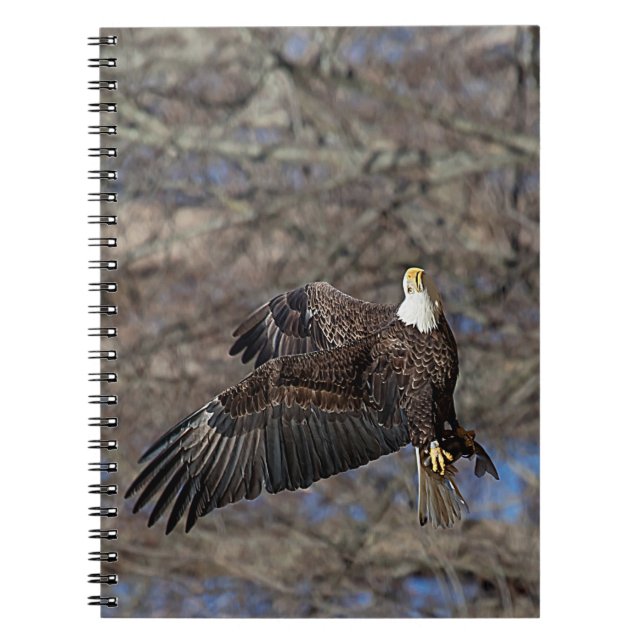 Caderno Espiral Águia-careca com um peixe-gato (Frente)