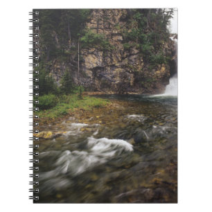 Caderno Espiral Águia em execução cai em trick cai nos dois