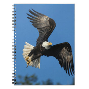 Caderno Espiral Águia em Movimento