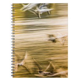 Caderno Espiral Agulhas voadoras - abstrato
