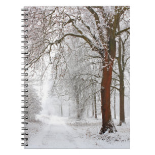 Caderno Espiral Alameda de Árvores Parque de Stupinigi, Itália