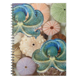 Caderno Espiral Álbum de fotografias dobro da espiral do polvo