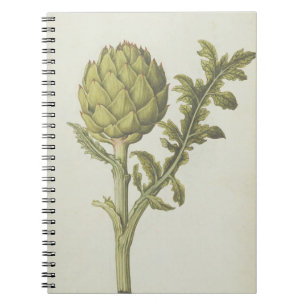 Caderno Espiral Alcachofra: Scolymus do Cynara, c.1568