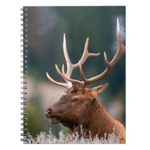 Caderno Espiral Alce das Montanhas Rochosas Parque Nacional de Yel