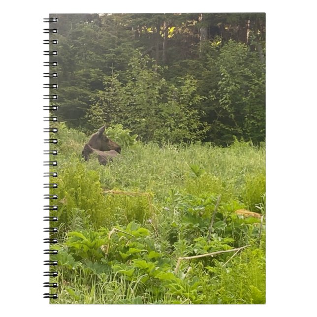 Caderno Espiral Alce no notebook de grama (Frente)