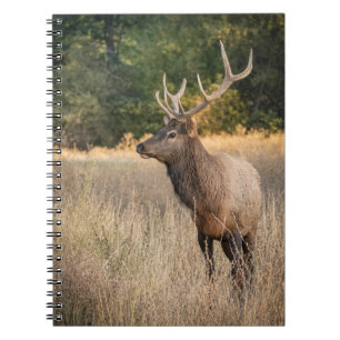 Caderno Espiral Alce Roosevelt Touro no gramado Estado de Washin