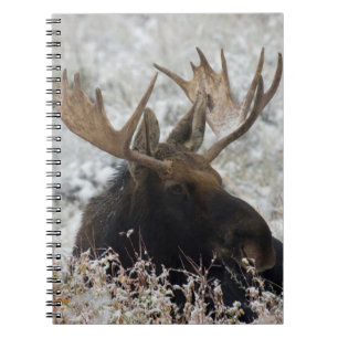 Caderno Espiral alce-touro de Shiras