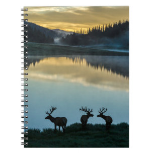 Caderno Espiral Alces Machos Silhuetados Poudre Lake Nascer do Sol