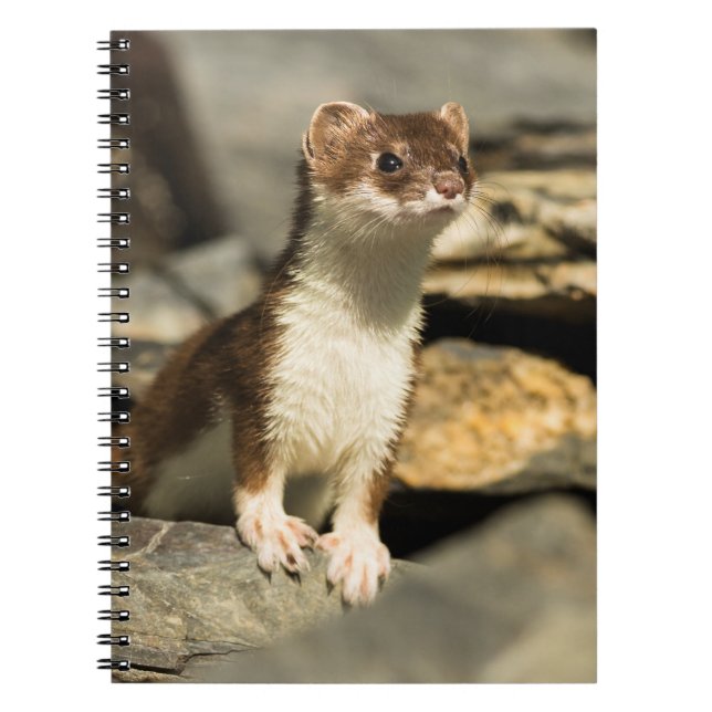 Caderno Espiral Alerta Weasel (Frente)