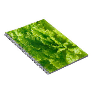 Caderno Espiral Alface