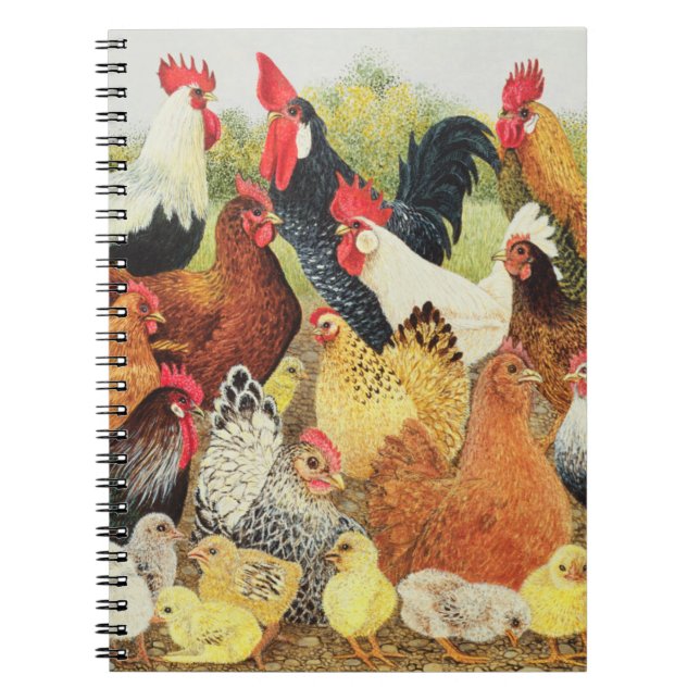 Caderno Espiral Algo cantar aproximadamente (Frente)