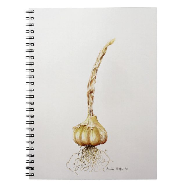 Caderno Espiral alho 1998 (Frente)