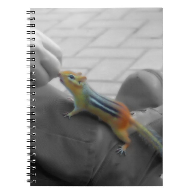 Caderno Espiral Almoço do chipset (Frente)