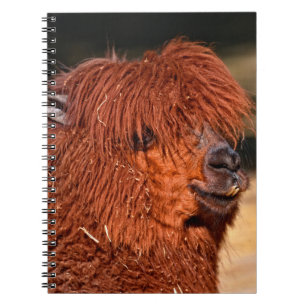 Caderno Espiral Alpaca