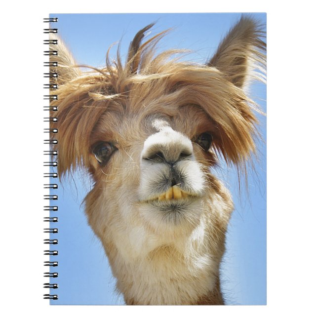 Caderno Espiral Alpaca louca do cabelo (Frente)