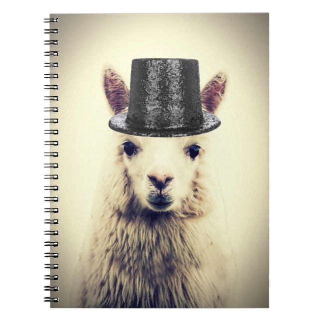 Caderno Espiral Alpaca num Tofat (Frente)