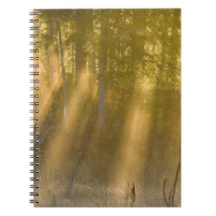 Caderno Espiral Amanhecer Nebuloso em Tamarac NWR perto de Detroit