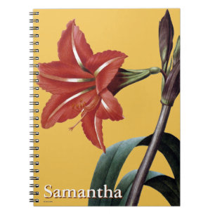 Caderno Espiral Amaryllis listrado