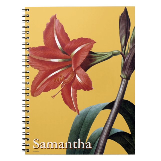 Caderno Espiral Amaryllis listrado (Frente)