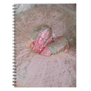 Caderno Espiral Ameixa do açúcar