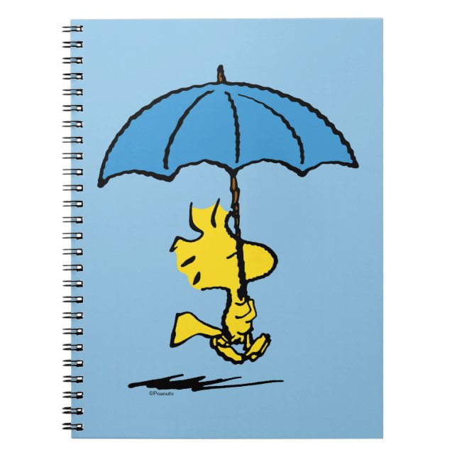 Caderno Espiral Amendoins | Woodstock Blue Umbrella (Frente)