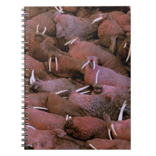 Caderno Espiral América do Norte, EUA, Alasca, Delta do Yukon Naci
