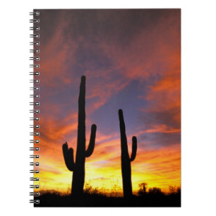 Caderno Espiral América do Norte, EUA, Arizona, Deserto de Sonora.